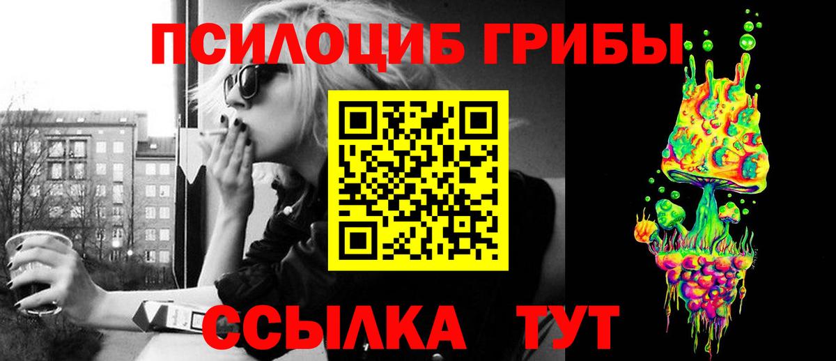 Алейск  как найти закладки  Вход с VPN  Псилоцибиновые грибы мицелий 